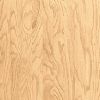 hartco_beaumont_oak_standard_sm